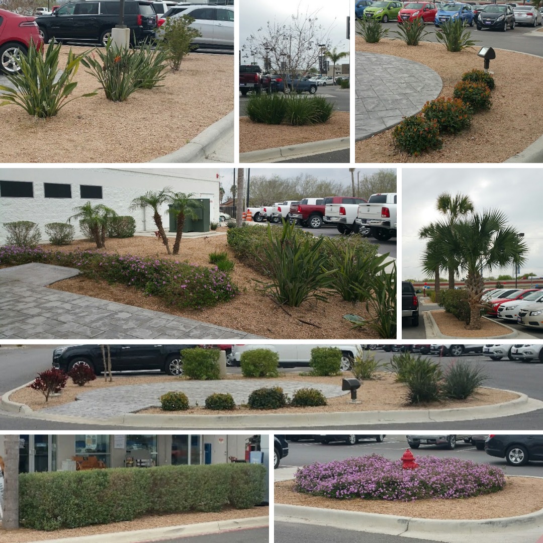 Trusted Coastal Grounds Management Partner