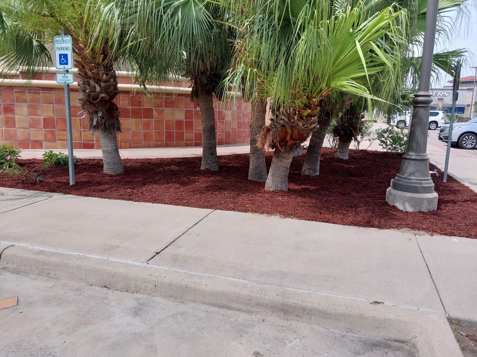 Comprehensive Landscaping Solutions for Laredo