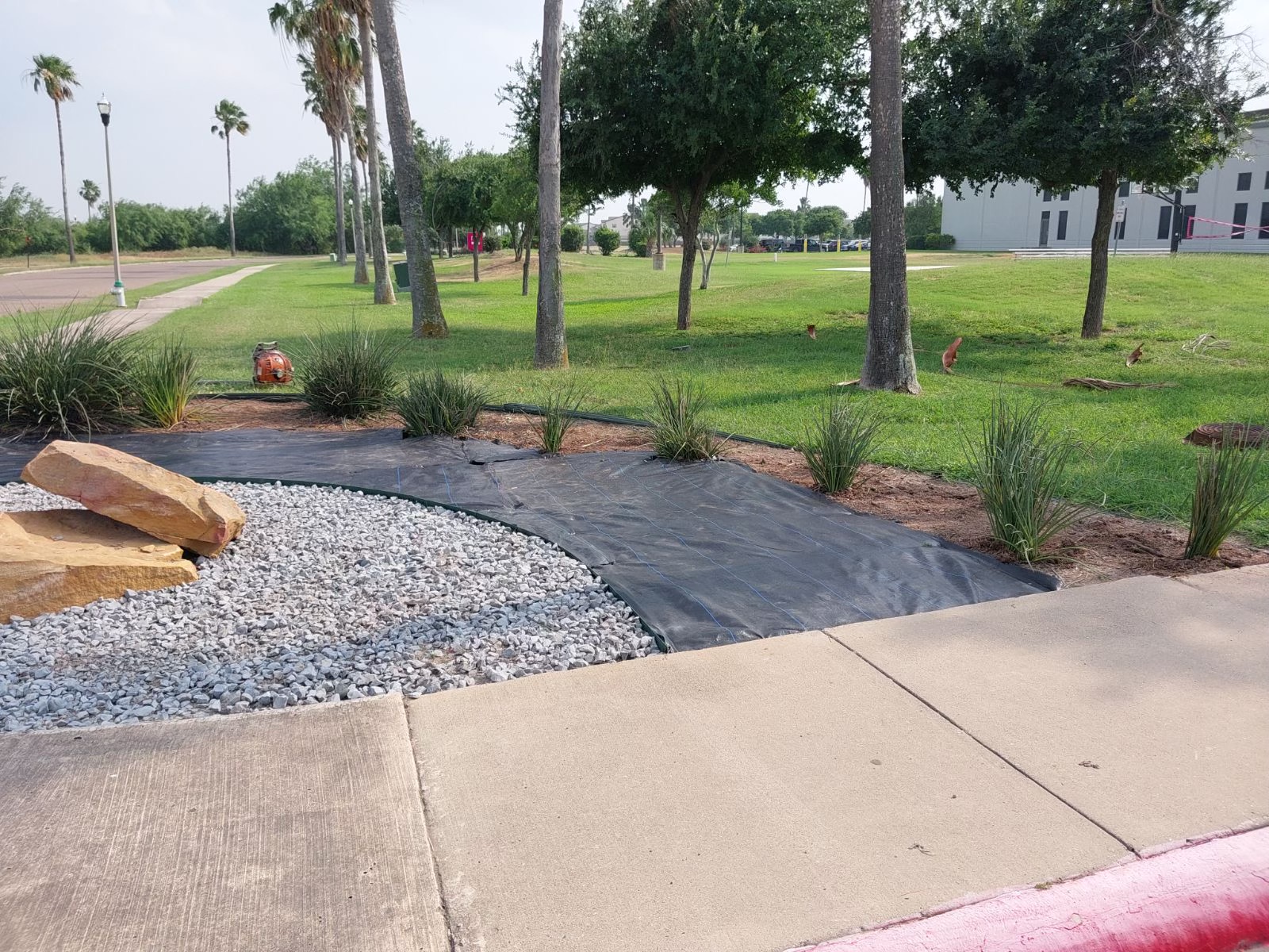 Commercial grounds maintenance on a multi-property site in San Antonio, TX by TLC Total Lawn Care.