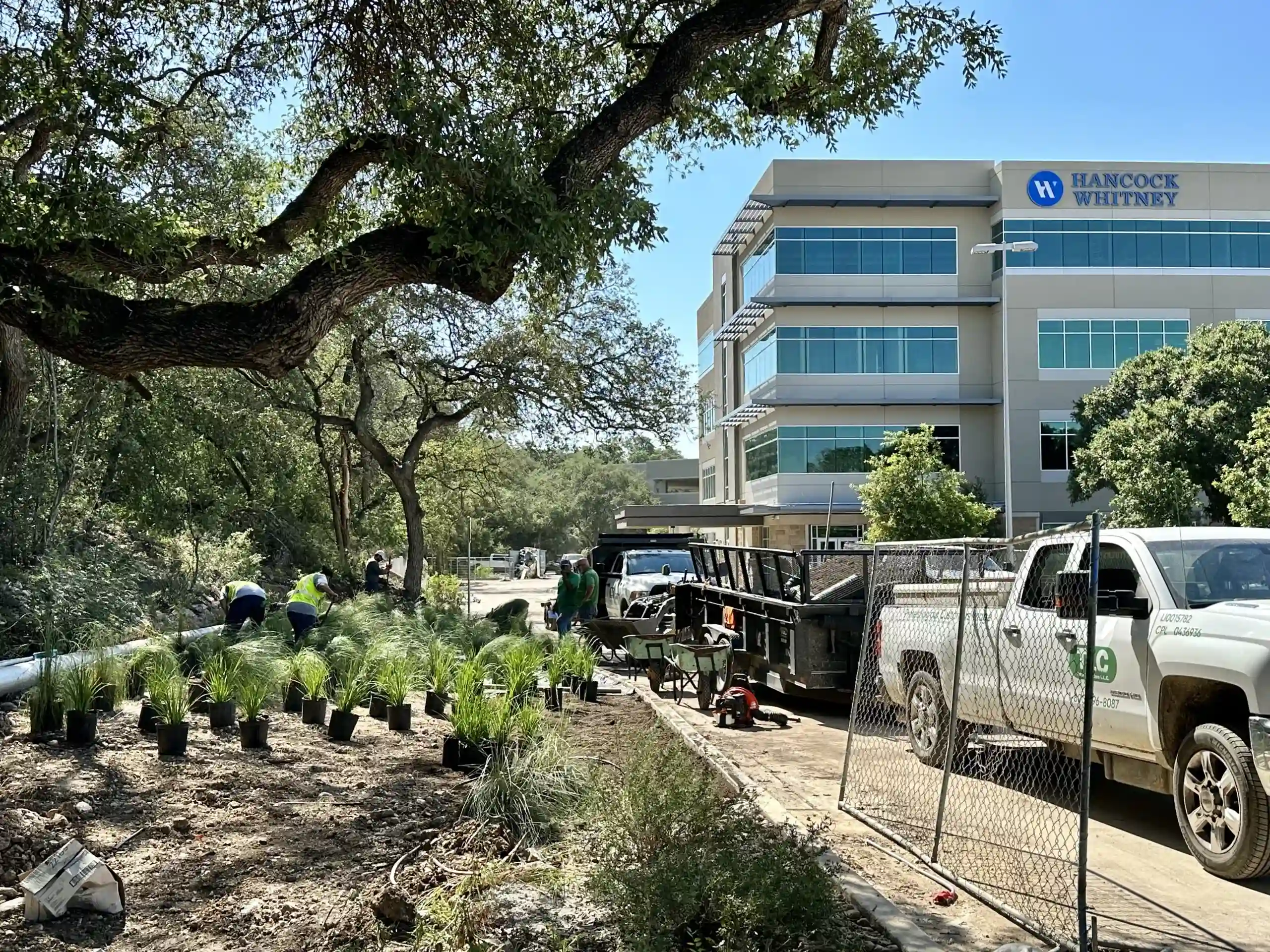 TLC crew managing a complex site development project near a corporate building in New Braunfels, showcasing integrated site prep and landscape installation